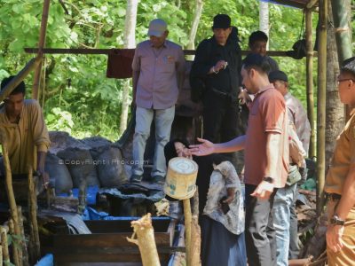 Tim Ditjen Perkebunan Kementerian Pertanian Survey Kesiapan Pelaksanaan HPS