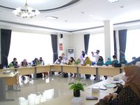Dinas P2KB dan TP-PKK Sulteng Gelar Penyusunan Renja Bunda Peduli Stunting TA 2022-2023