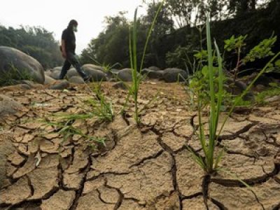 BMKG Beri Peringatan! Ada Fenomena Cuaca Ekstrem Tahun Ini