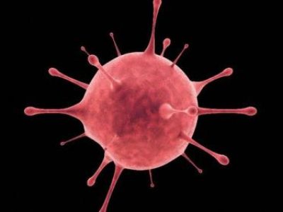 Update Covid-19 Hari Ini: Bertambah 323 Kasus, Meninggal 5 Orang