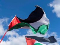 Waspada Donasi Palsu untuk Palestina, Teliti Sebelum Memberi!