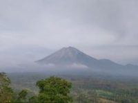 Gunung Semeru 2 Kali Erupsi Keluarkan Abu 500 Meter, Status Masih Siaga