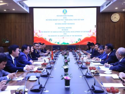 Dari Vietnam, Mentan Amran Tekankan Pentingnya Optimasi dan Mekanisasi