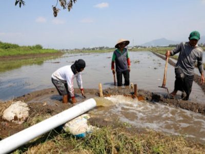 Perhatikan Petani Kecil, Presiden Ajak Pemimpin Dunia Perkuat Pasokan Air