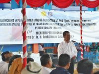 Mentan Minta Harga Jagung di Tingkat Petani Dijaga Baik-baik