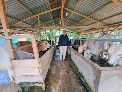 Idul Adha Berbagi, RST Berikan Bantuan Sapi Kurban di Parigi Moutong