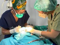 Yayasan Senyum Sulawesi Tengah Gelar Bakti Sosial Bibir Sumbing di RSUD Anuntaloko