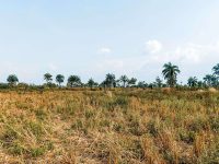 Wilayah Indonesia Tidak Sedang Mengalami Fenomena El Nino dan La Nina