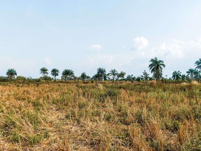 Wilayah Indonesia Tidak Sedang Mengalami Fenomena El Nino dan La Nina