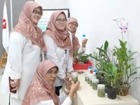 Cara BRIN Perbanyak Tumbuhan yang Terancam Punah