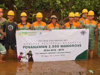 Sebanyak 2.000 Bibit Mangrove Ditanam PT IMIP Demi Restorasi Pesisir Bahodopi
