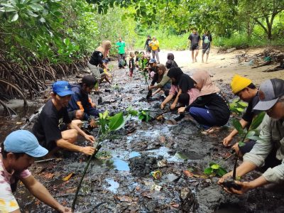 1.000 Mangrove untuk Teluk Tomini: Kolaborasi Relawan, Pemerintah, dan TNI di Pesisir Parigi