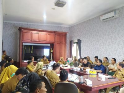 Kolaborasi Pusat dan Daerah, Parimo Fokus Tangani Kasus Malaria