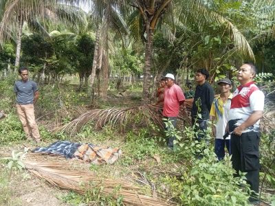 Remaja SMP Ditemukan Meninggal di Kebun Warga Parigi Utara, Polisi Selidiki Penyebabnya
