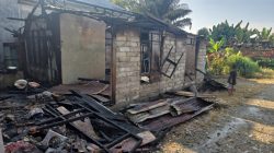 Diduga Api Sisa Pembakaran Ikan, Satu Rumah di Tolai Ludes Terbakar