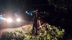 Angin Kencang di Parigi Sebabkan Pohon Tumbang di Kawasan Pasar Baru