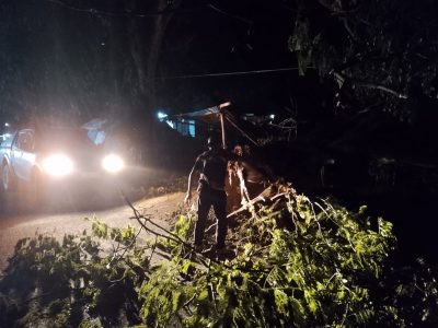 Angin Kencang di Parigi Sebabkan Pohon Tumbang di Kawasan Pasar Baru