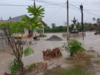 Tanggul Sungai Tapeau Jebol, Banjir Rendam Permukiman di Balinggi