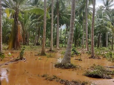 Banjir Rendam Dua Desa di Kecamatan Moutong Parigi Moutong