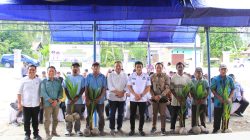 Kementerian Transmigrasi Bidik Parigi Moutong Jadi Pusat Pertumbuhan Ekonomi Baru