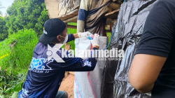 Mayat Tanpa Identitas Ditemukan Tergantung di Pondok Kebun di Moutong
