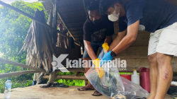 Polisi Selidiki Temuan Mayat di Moutong