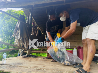 Polisi Selidiki Temuan Mayat di Moutong