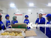 Kemenpar Lirik Durian Parigi Moutong, Berpeluang Jadi Destinasi Agrowisata
