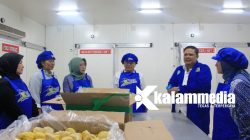Kemenpar Lirik Durian Parigi Moutong, Berpeluang Jadi Destinasi Agrowisata