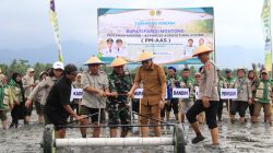 Dapat Kepercayaan Pusat, Erwin Canangkan Padi Modern 2.280 Hektare