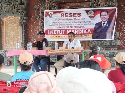 Sawah Terendam, Ketut Mardika Kawal Usulan Bronjong di Balinggi Jati