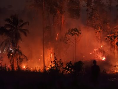 Karhutla Kembali Terjadi, 2 Hektare Lahan di Bolano Terbakar