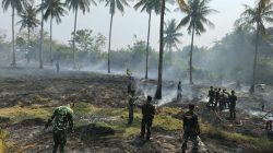 Karhutla Hanguskan Sekitar 1 Hektare Lahan Kelapa di Moutong Barat