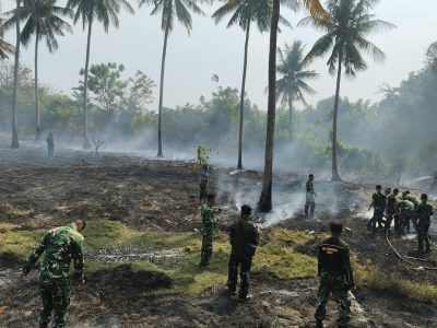 Karhutla Hanguskan Sekitar 1 Hektare Lahan Kelapa di Moutong Barat